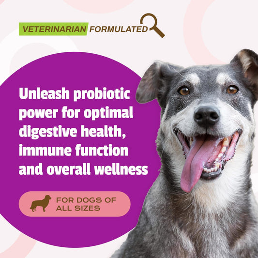 Pet Naturals Daily Probiotic for Dogs, 120M CFUs - Pre and Probiotics for Dogs Digestive Health, Gut Health, Immune Support, Diarrhea, Allergies and Itching - 60 Chews, Duck Flavor