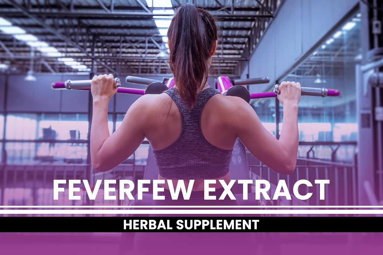 Pure Original Ingredients Feverfew Extract (365 Capsules) No Magnesium Or Rice Fillers, Always Pure, Lab Verified : Health & Household