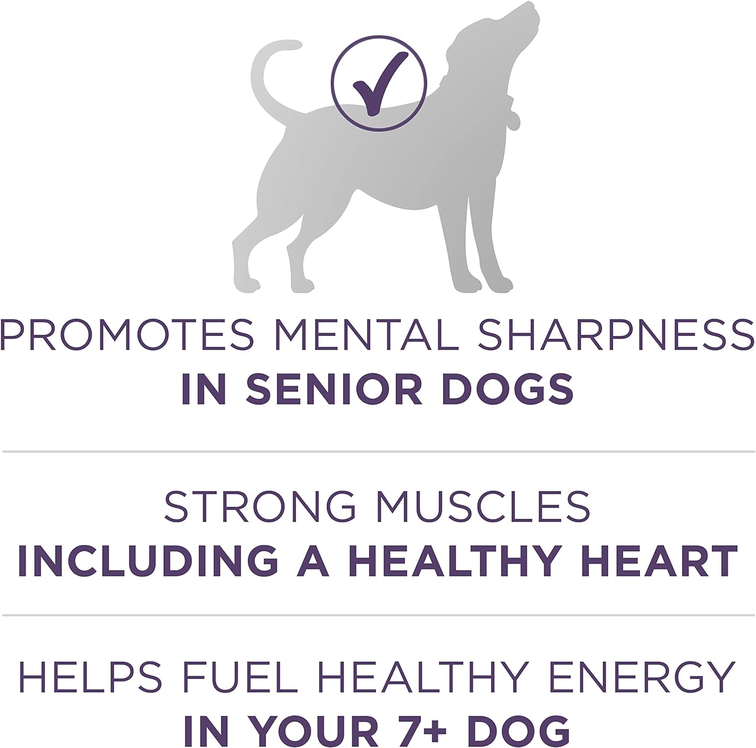 Purina ONE High Protein Dry Senior Dog Food Plus Vibrant Maturity Adult 7 Plus Formula - 16.5 lb. Bag : Pet Supplies