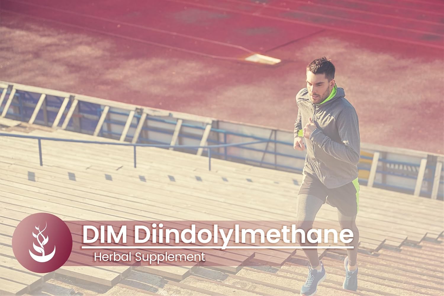 Pure Original Ingredients DHM (Dihydromyricetin), (100 Capsules) Always Pure, No Additives Or Fillers, Lab Verified : Health & Household