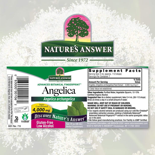 Nature's Answer Angelica Root with Organic Alcohol 4000mg 1 | Mesopause Support | Female Hormonal Balance | Fertility Support | Single Count