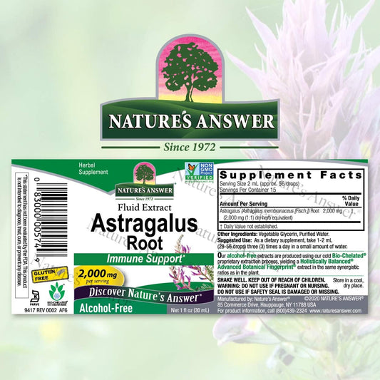 Nature's Answer Astragalus Root Alcohol Free Herbal Supplement 1  ( 2 Pack ) | Immune Support | Promotes Cardiovascular Health | Natural Stress Reliever