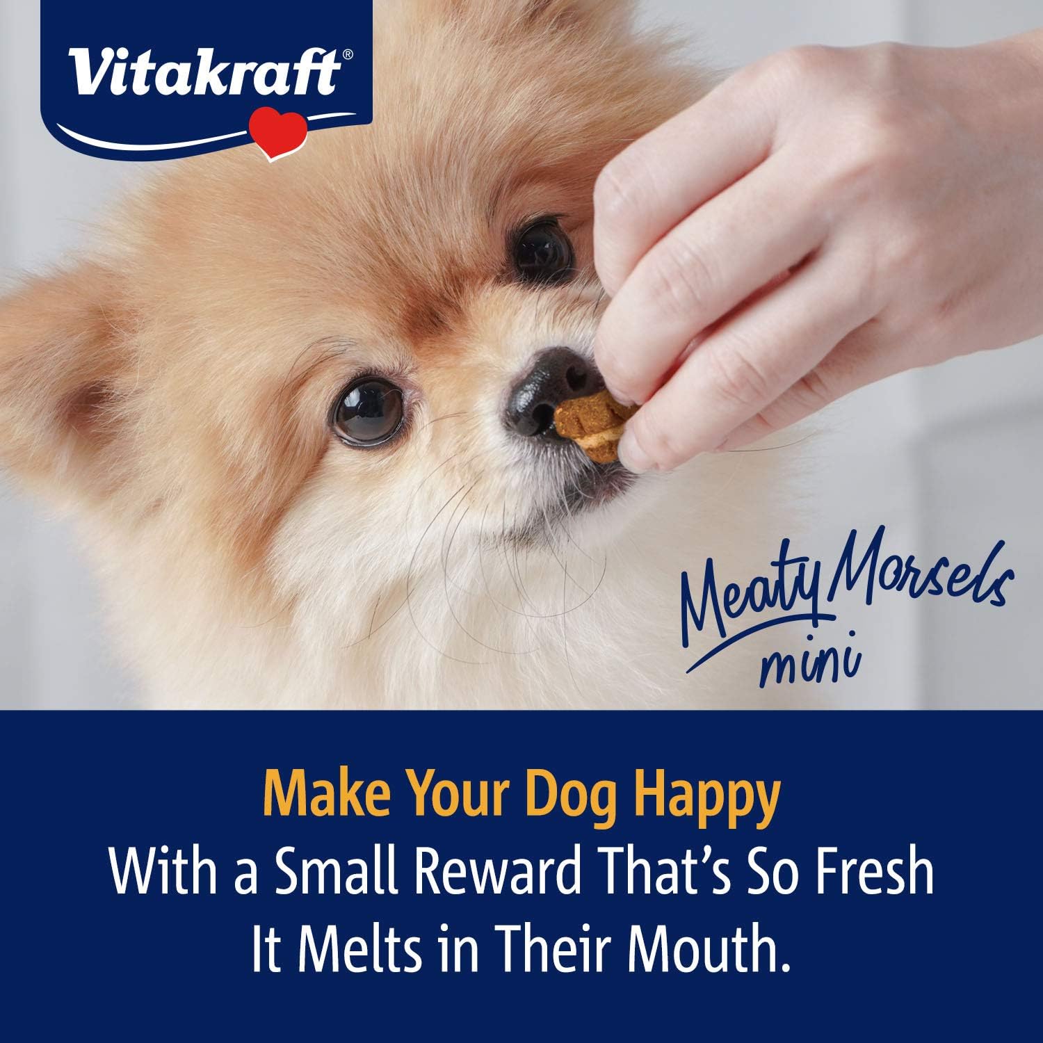 Vitakraft Meaty Morsels Mini Treats for Dogs - Chicken with Sweet Potatoes - Super Soft Dog Treats for Training - Two Layers of Gently Oven-Baked Meaty Goodness - Multi Pack of 4 : Pet Supplies