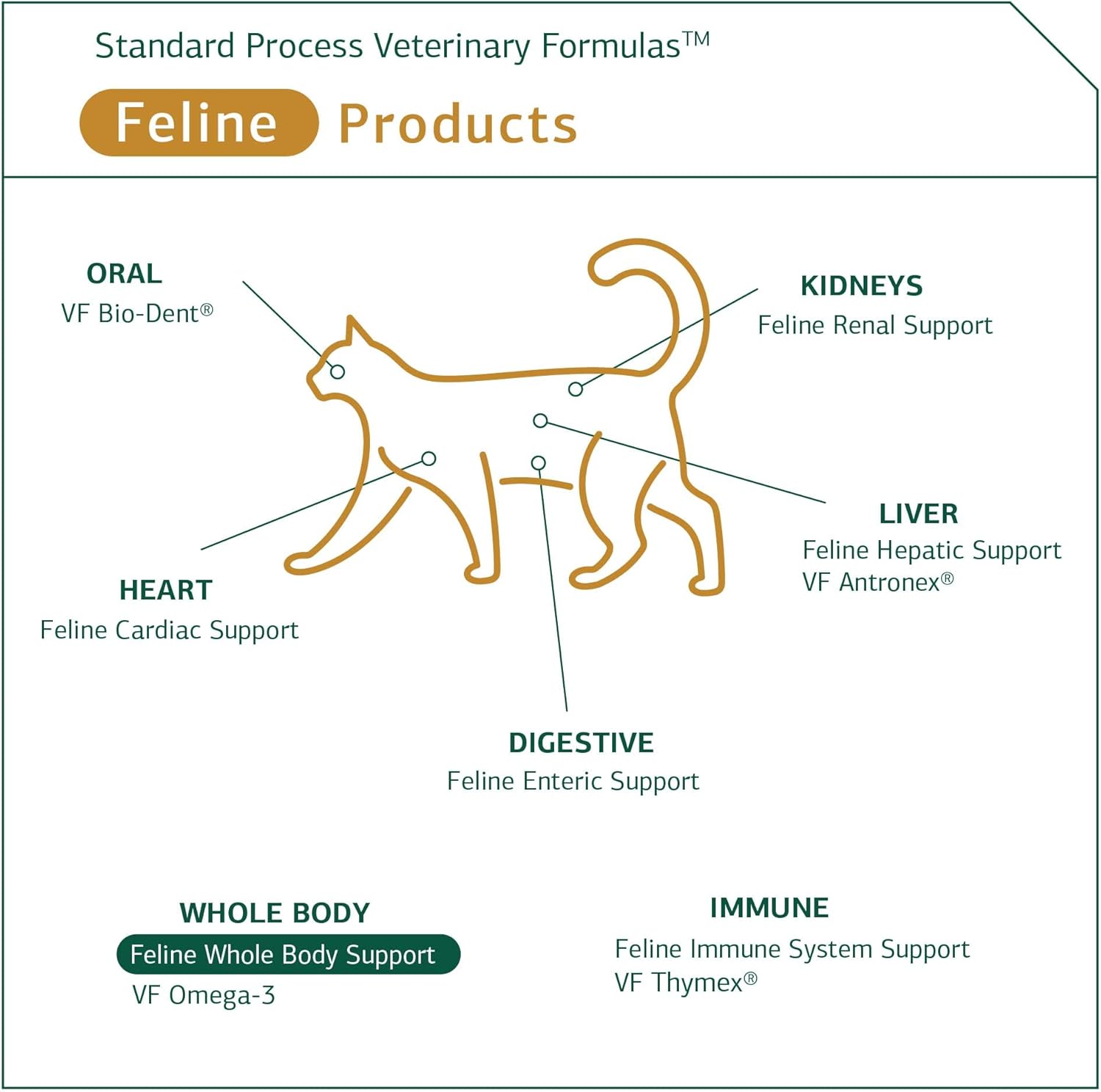 Standard Process Feline Whole Body Support - Nutritional Cat Supplement for Multisystem Support - Feline Daily Maintenance Supplement - 90 tablets : Pet Supplies