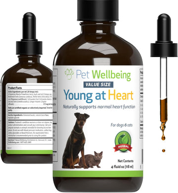 Pet Wellbeing Young At Heart For Dogs & Cats - Vet-Formulated - Supports Cardiovascular System | Heart & Circulatory Health - Natural Herbal Supplement 4 Oz (118 Ml)