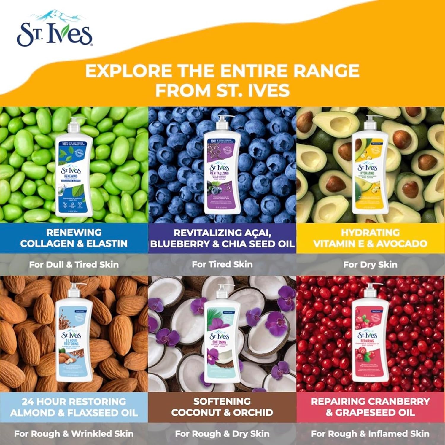 St. Ives Renewing Collagen & Elastin Body Lotion : Beauty & Personal Care