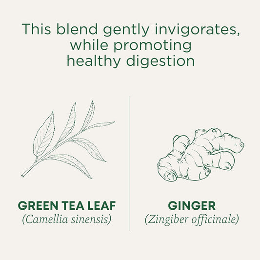 Traditional Medicinals Tea, Organic Green Tea Ginger, Promotes Healthy Digestion, 96 Tea Bags (6 Pack)