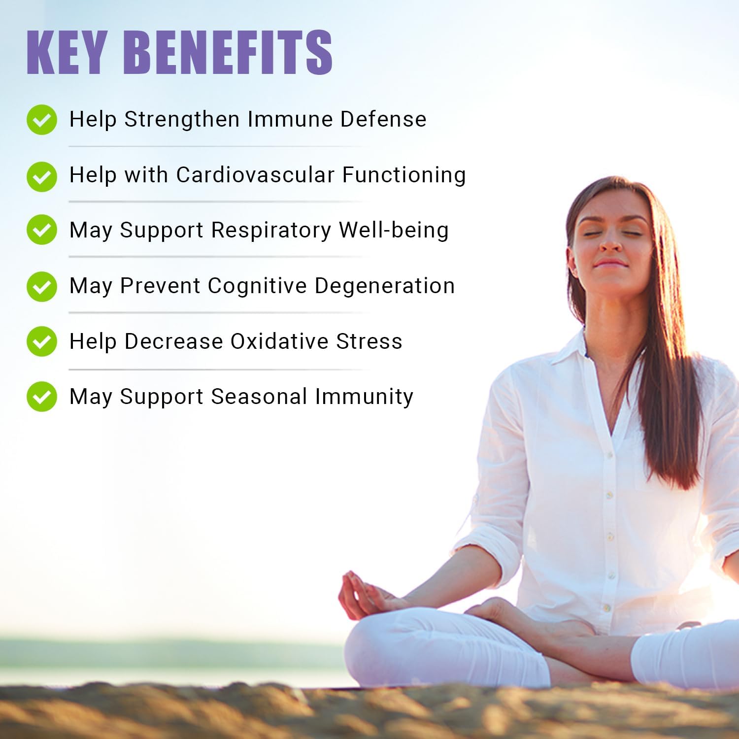 Ancient Bliss Quercetin With Bromelain | Quercetin 1000Mg Bromelain 200Mg Per Serving | Supports Immune System, Joint Health, Respiratory Health & Overall Well-Being – 120 Capsules : Health & Household