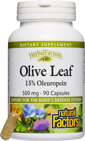 HerbalFactors by Natural Factors, Olive Leaf 500 mg, Natural Wellness Formula, 90 Capsules