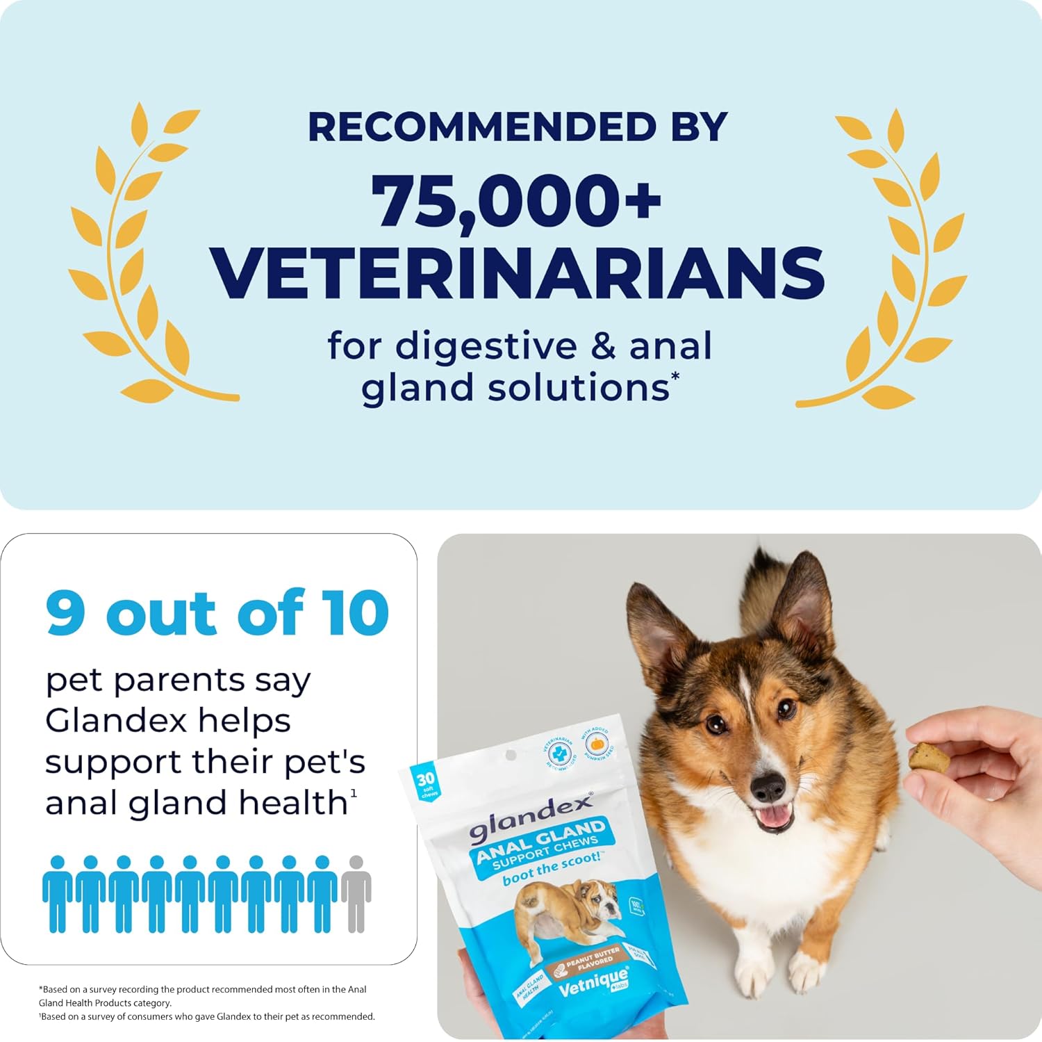 Glandex Anal Gland Soft Chew Treats with Pumpkin for Dogs Digestive Enzymes, Probiotics Fiber Supplement for Dogs Boot The Scoot (Peanut Butter Chews, 120ct) : Pet Supplies