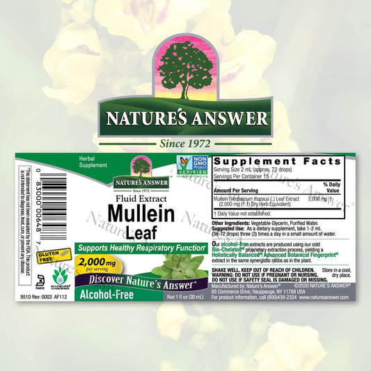 Nature's Answer Alcohol-Free Mullein Leaf 1 Extract | Herbal Supplement | Supports Respiratory Function & Mucous Membranes | Non-GMO, Kosher, Gluten-Free | Single Count