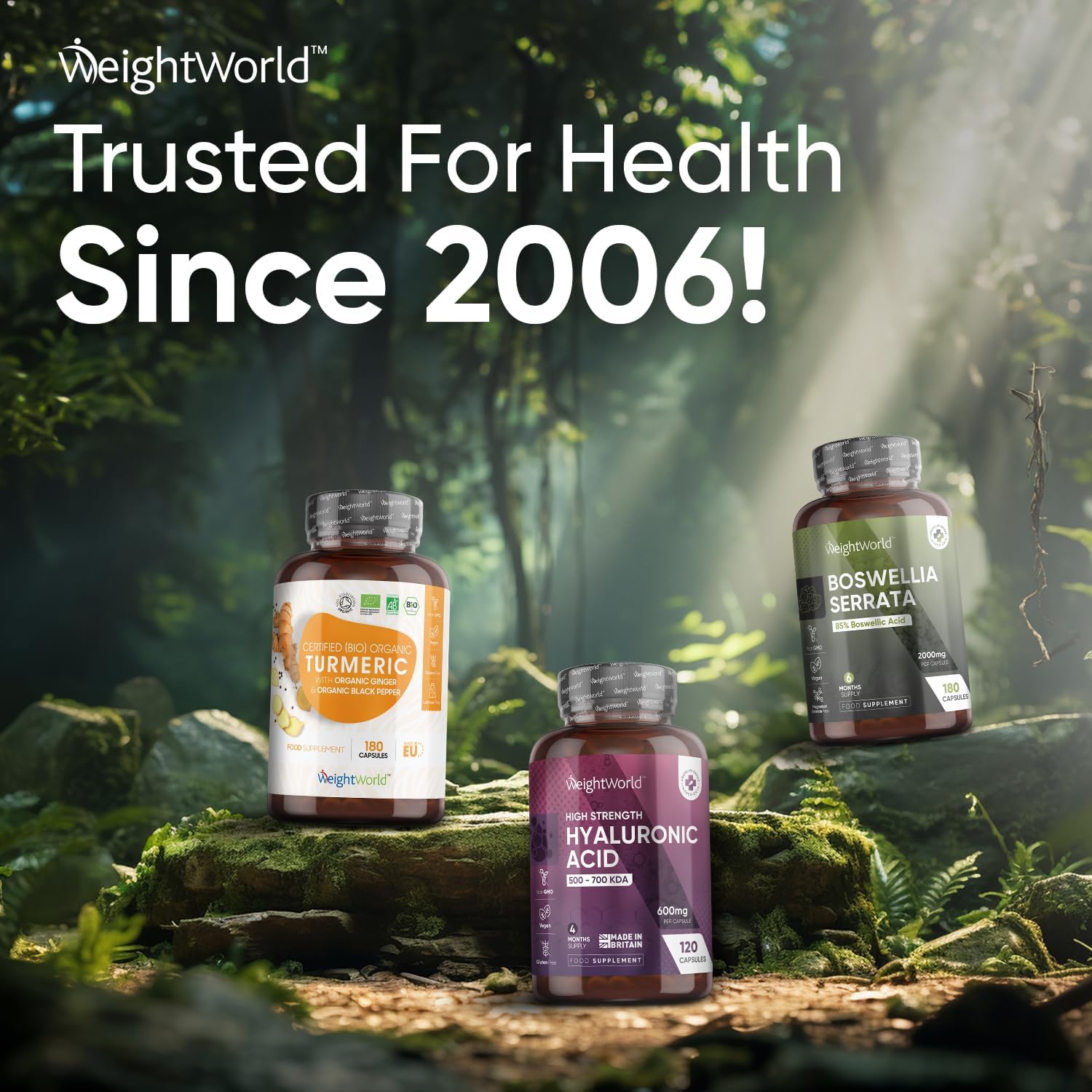 Boswellia Serrata Extract- 2000mg - 85% Boswellic Acid (400mg per Capsule) - 180 Capsules - 6 Months Supply - Indian Frankincense Resin - 5:1 Extract Boswellia per 1 Capsule - Vegan & Non-GMO : Amazon.co.uk: Health & Personal Care