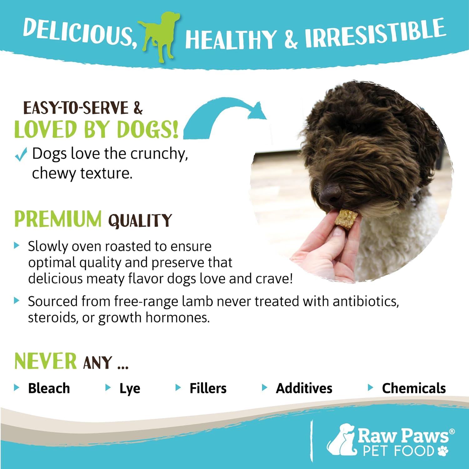 Raw Paws Lamb Lung Treats for Dogs, 8-oz - Packed in USA - Free Range Dehydrated Lamb Lung Treats for Dogs - Crunchy Natural Lamb Lung Bites - Dog Treat Lamb Lung Training Treats - Lamb Lung Filets : Pet Supplies