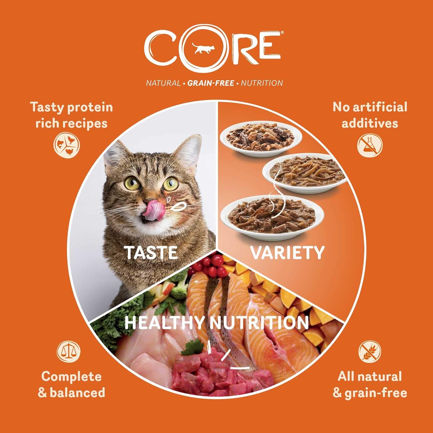 Wellness CORE Tender Cuts, Wet Cat Food, Cat Food Wet with Tender Pieces in Sauce, Grain Free, High Meat Content, Turkey & Duck, 24 x 85 g :Pet Supplies