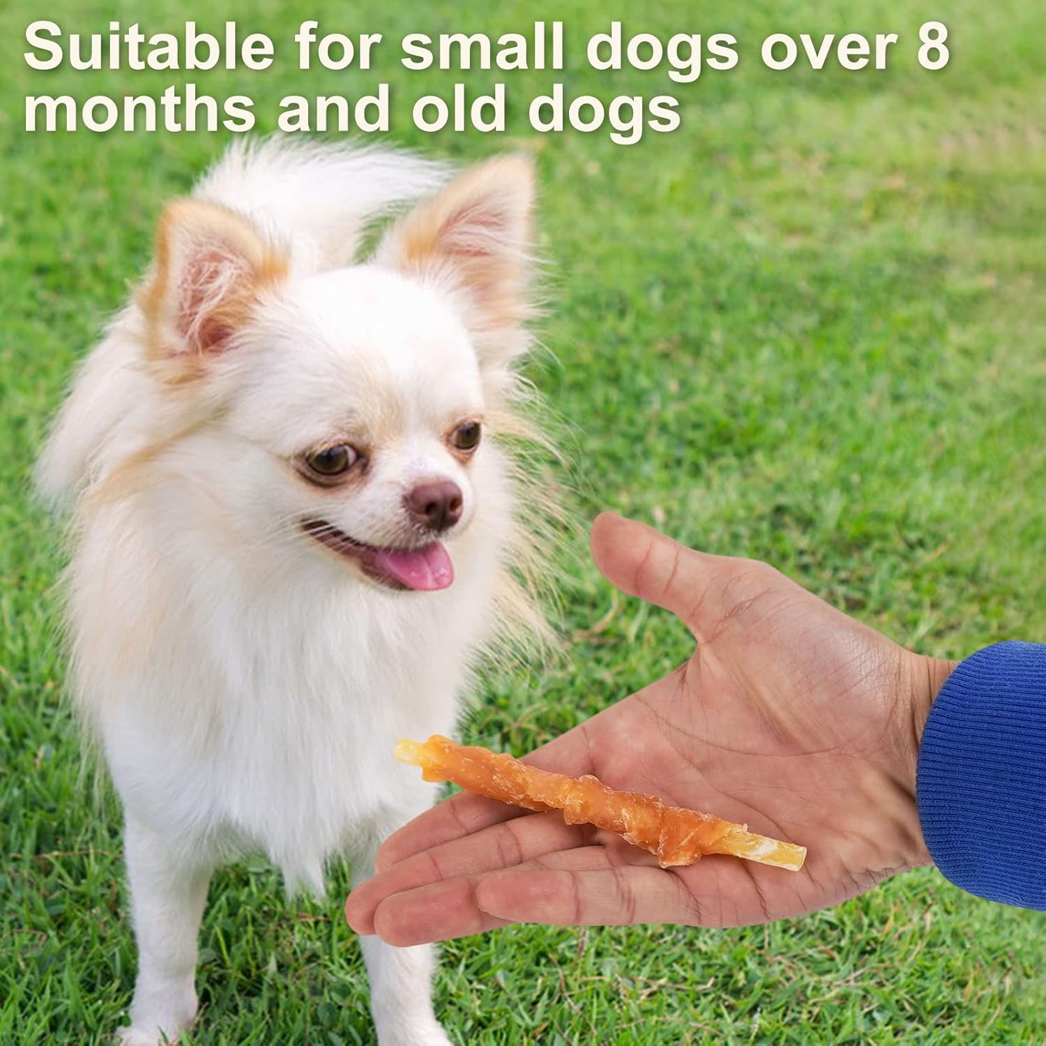 MON2SUN Rawhide Free Dog Treats Chicken Wrapped Cod Sticks for Small Dogs Soft Training Snacks 14.11oz : Pet Supplies