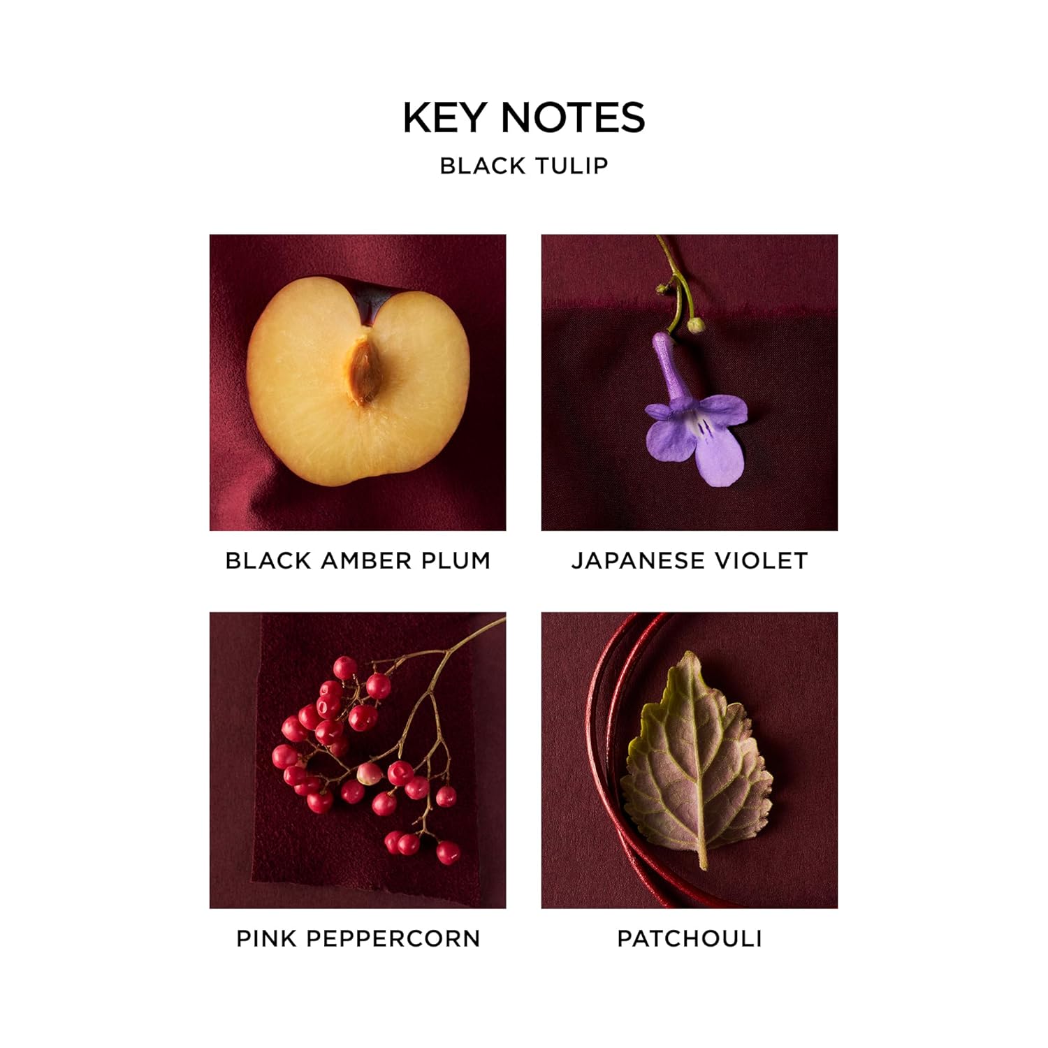 Nest New York Black Tulip Eau De Parfum (Travel Spray) - 8 Ml - Vegan & Cruelty Free : Beauty & Personal Care