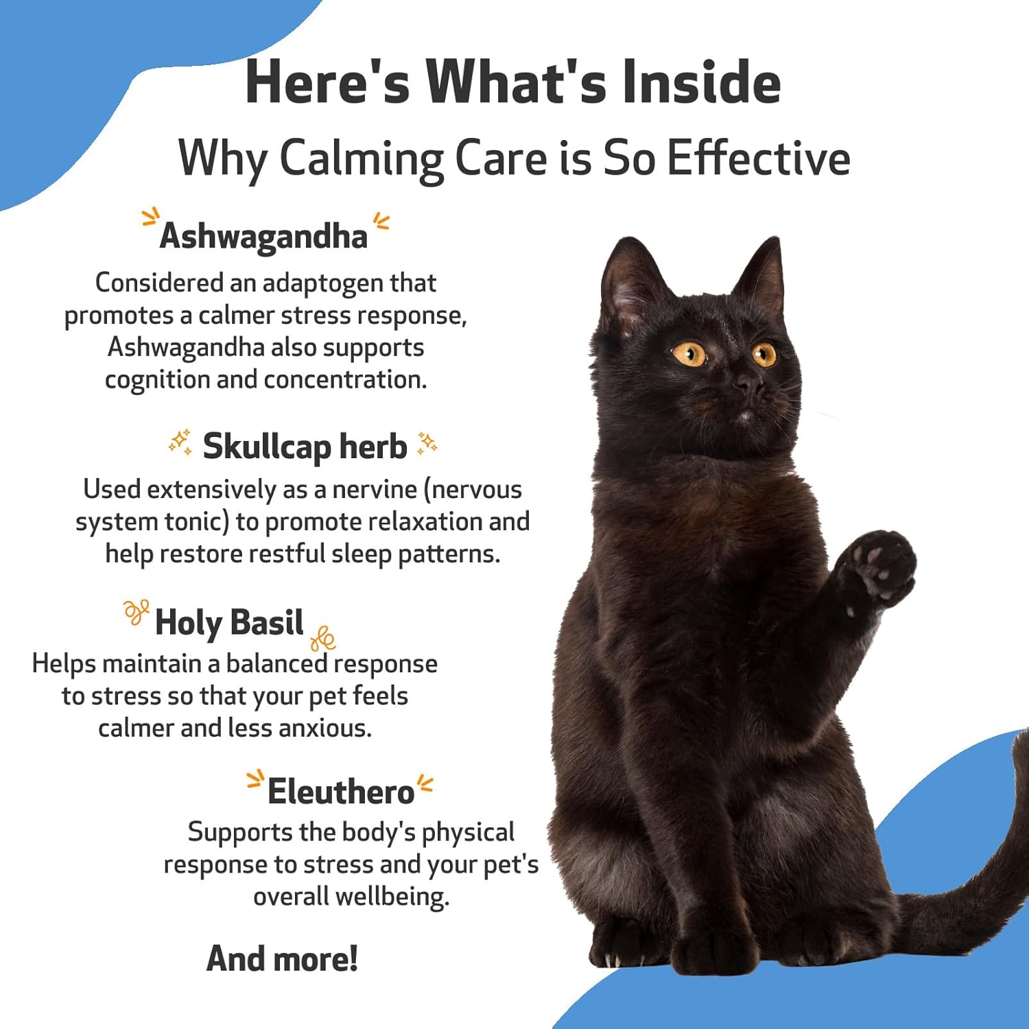 Pet Wellbeing Calming Care for Cats - Vet-Formulated - Supports Calm & Relaxed Nervous System - Natural Herbal Supplement 2 oz (59 ml) : Pet Supplies
