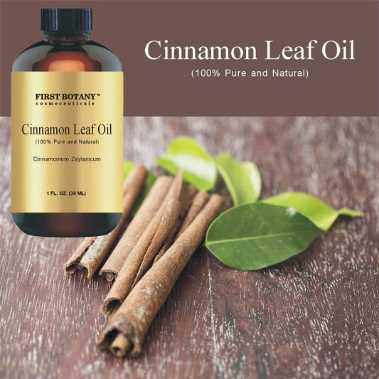 First Botany, 100% Pure Cinnamon Essential Oil - Premium Cinnamon Oil For Aromatherapy, Massage, Topical & Household Uses - 1 Fl Oz (Cinnamon)