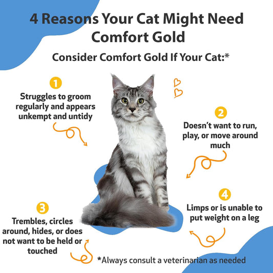 Pet Wellbeing Comfort Gold For Cats - Vet-Formulated - Supports Feline Physical Comfort - Natural Herbal Supplement 2 Oz (59 Ml)