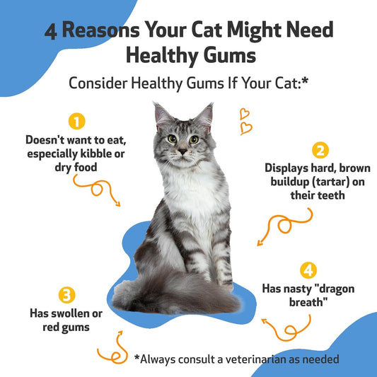 Pet Wellbeing - Healthy Gums For Cats - Natural Support For For Healthy Gums, Teeth And Breath In Felines - 2Oz (59Ml)