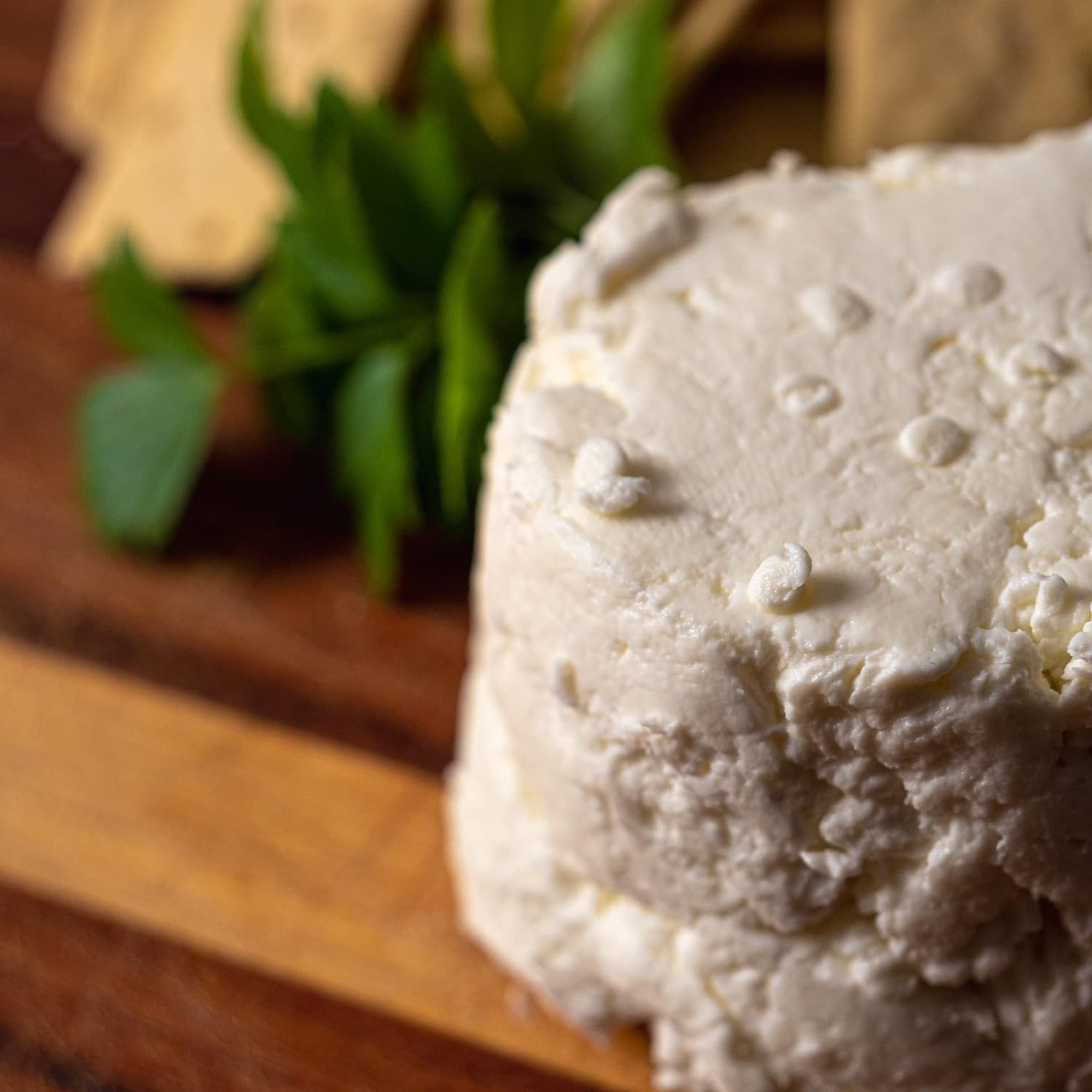 Cultures for Health Mesophilic Starter Bundle | Includes Mesophilic Cheese + Heirloom Yogurt Starter Culture | No Yogurt Maker Required, Cultures at Room Temperature | Yogurt & Cheesemaking DIY Kit