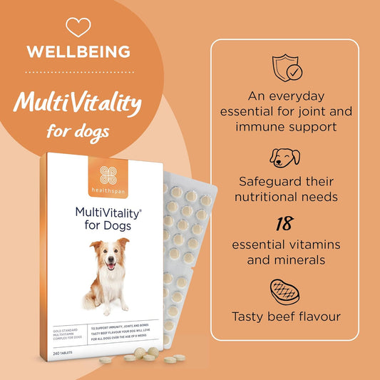 Healthspan Multivitamin For Dogs (240 Tablets) | Gold Standard Multivitamin For Every Stage In Life | 18 Essential Vitamins & Minerals | Supports Every Day Health & Vitality | Beef Flavoured
