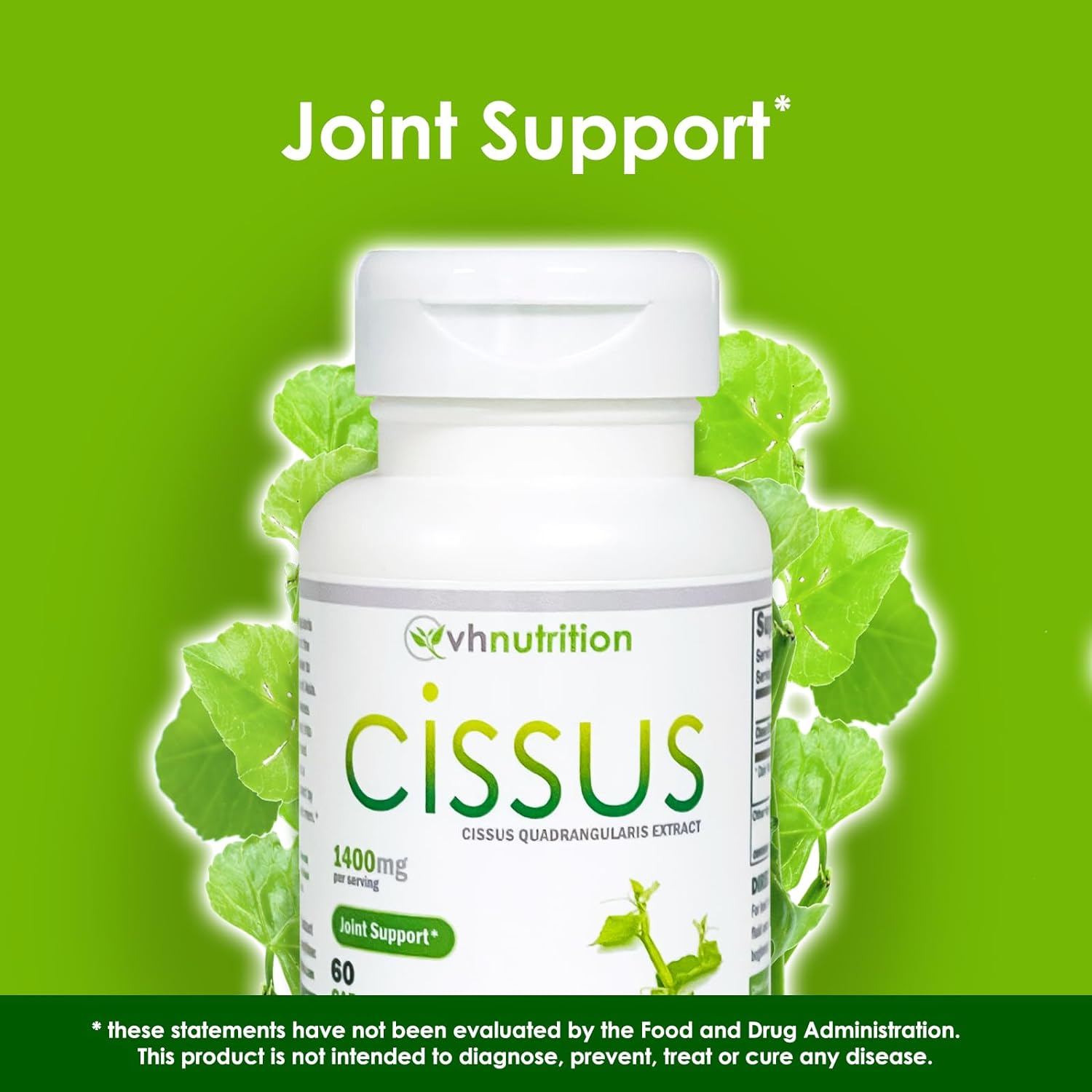 VH Nutrition CISSUS QUADRANGULARIS Capsules | Bone and Joint Support* Supplement | 60 Capsules : Health & Household