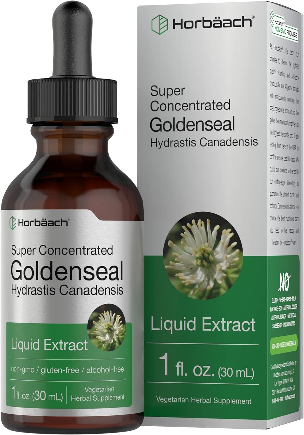 Horbach Goldenseal Root Extract Liquid | 1 fl oz Tincture | Super Concentrated | Alcohol Free | Vegetarian, Non-GMO, Gluten Free
