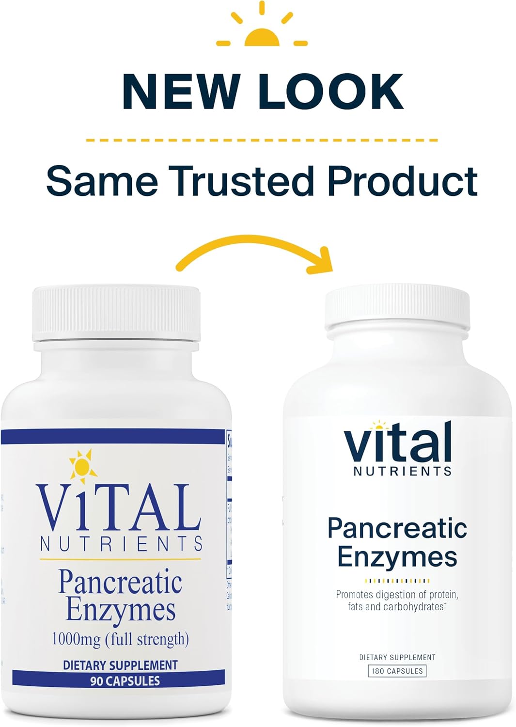 Vital Nutrients Pancreatic Enzymes 1000mg (Full Strength) | Pancreatin Digestion Supplement with Protease, Amylase & Lipase | Digestive Enzymes | Gluten, Dairy, and Soy Free | 180 Capsules : Health & Household