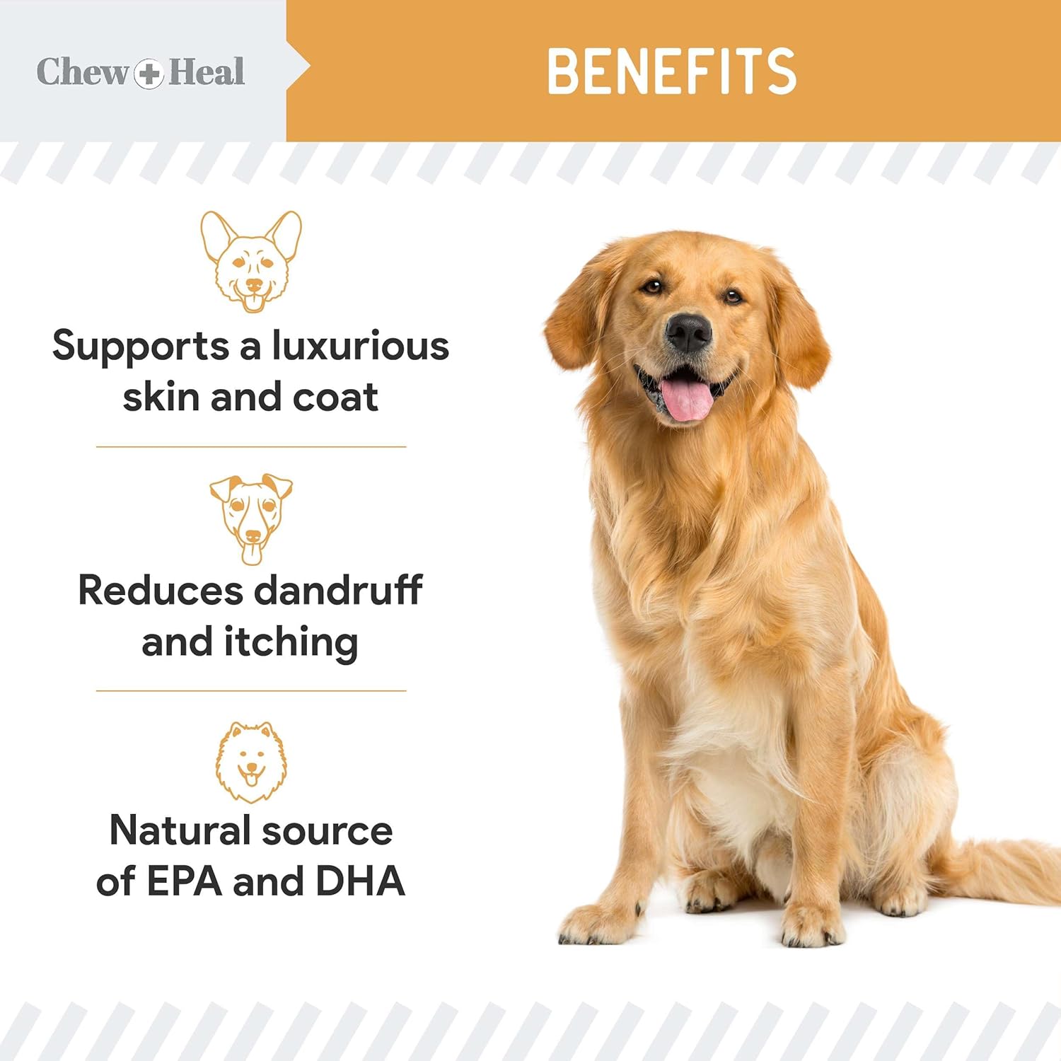 Chew + Heal Labs Omega Salmon Jerky Dog Treats - 5 oz of Soft Salmon Jerky for Skin and Coat - Made with Wild Alaskan Salmon, Flaxseed, Oat Flour, and More - Made in The USA : Pet Supplies