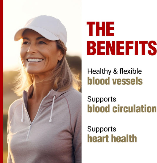 Labo Nutrition Vesseclear Ex: Nattokinase Nsk-Sd+Elastin F For Clean & Flexible Blood Vessel. Japan'S Most Clinically Studied, Functional Dose, Acid-Resistant/Delayed Release Capsules, 90 Count