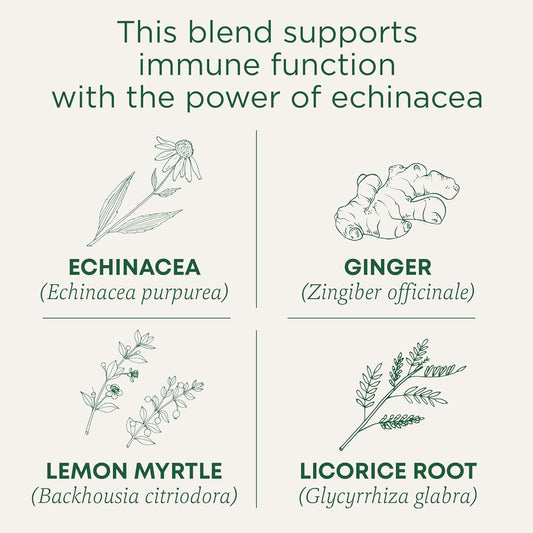 Traditional Medicinals Organic Immune Zoom Lemon Ginger Tea - 16 Ct
