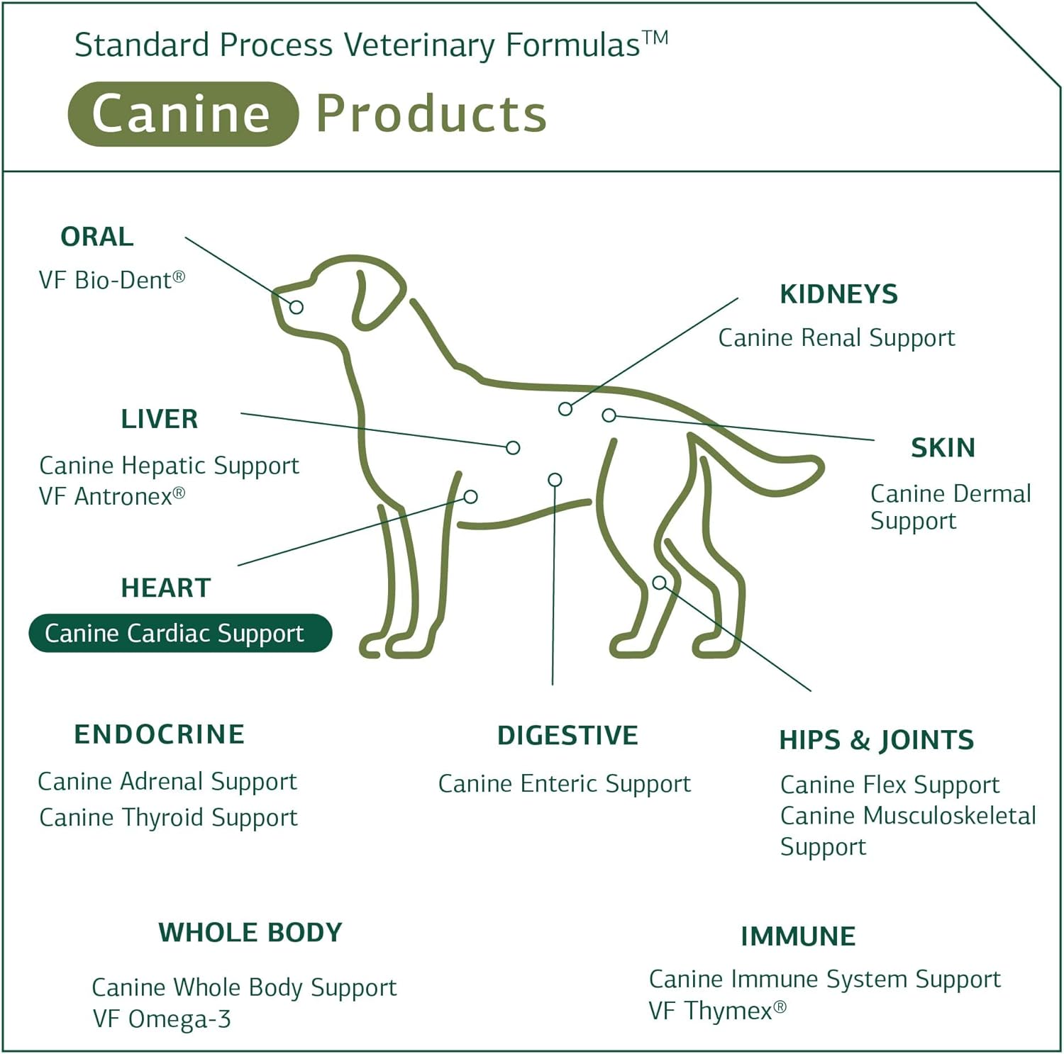 Standard Process Canine Cardiac Support - Dog Heart Health Support Supplement - Nutritional Supplement Formula to Support Cardiac Function - Pet Health Supplement with Selenium - 25 g : Pet Multivitamins : Pet Supplies