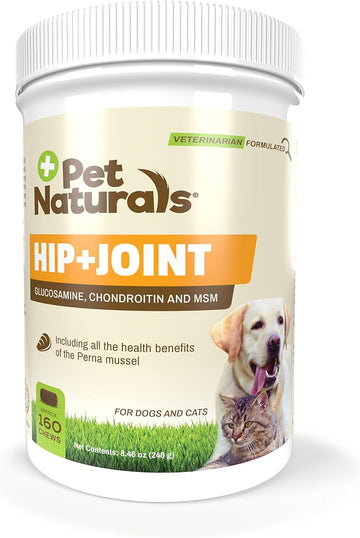 Pet Naturals Hip and Joint Supplement with Glucosamine, Chondroitin and MSM for Dogs and Cats, Duck Flavor, 160 Chews
