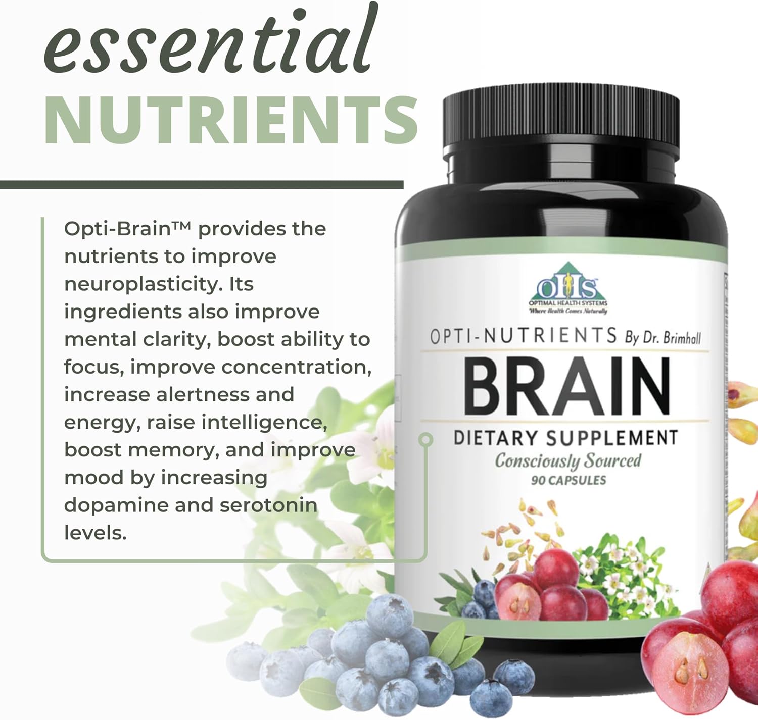 Optimal Health Systems Brain | Most Comprehensive Nootropic + Enzyme Delivery | 700 Mg Scientific Neuroenhancment Blend | Boost Mood, Memory & Focus | 90 Capsules : Health & Household