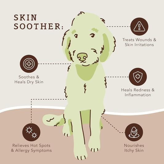 Natural Dog Company Skin Soother Trial Stick (0.15oz) | Travel-Size All-Natural Balm | with Almond Oil, Cocoa Butter, and Vitamins C and E | Moisturize Dry and Itchy Skin, Treat Wounds and Allergies