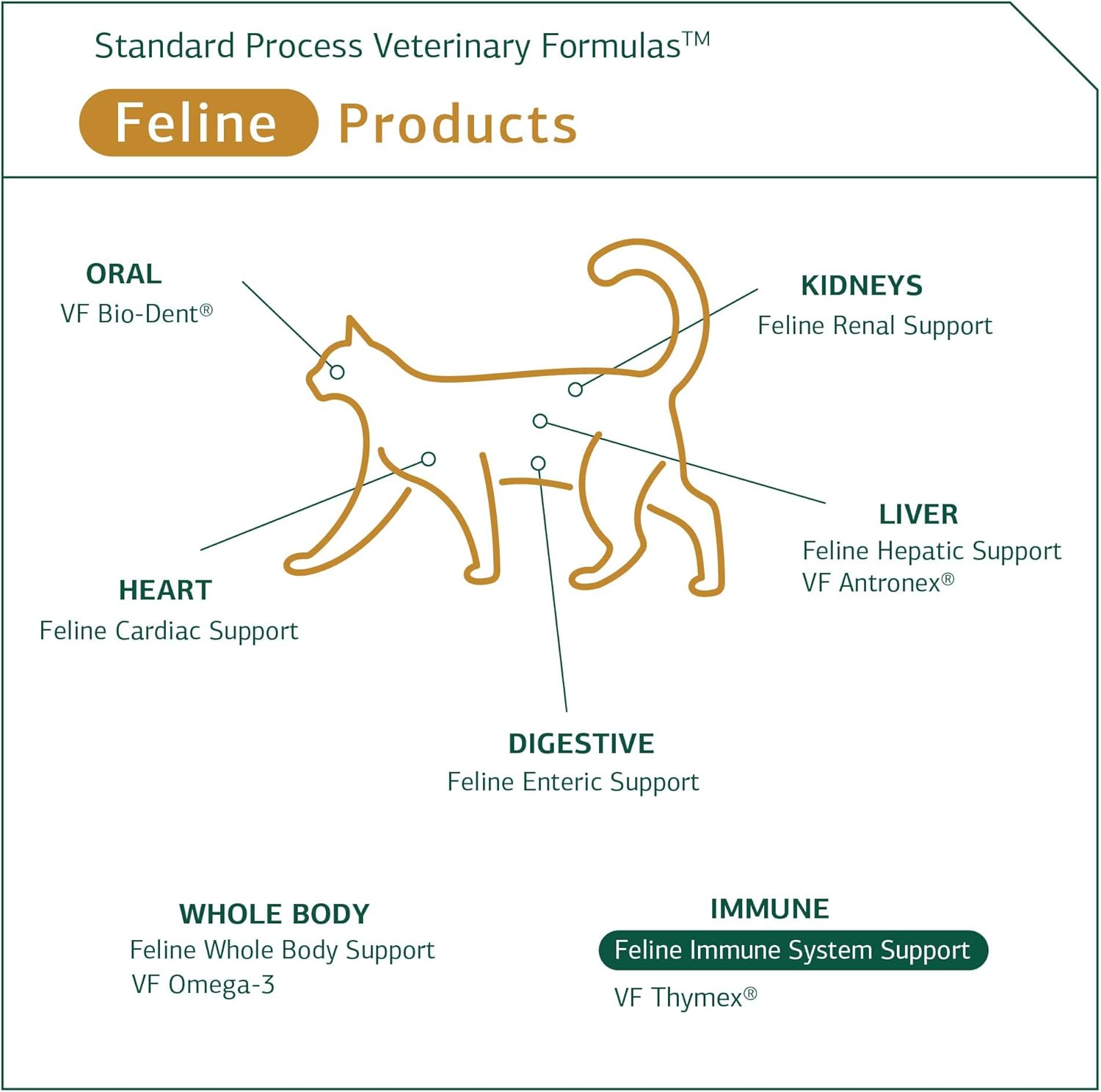 Standard Process Feline Immune System Support - Nutritional Supplement for Feline Immune Health Support - Cat Supplement Tablets to Aid Healthy Immune Cells & Tissue - 90 tablets : Health & Household