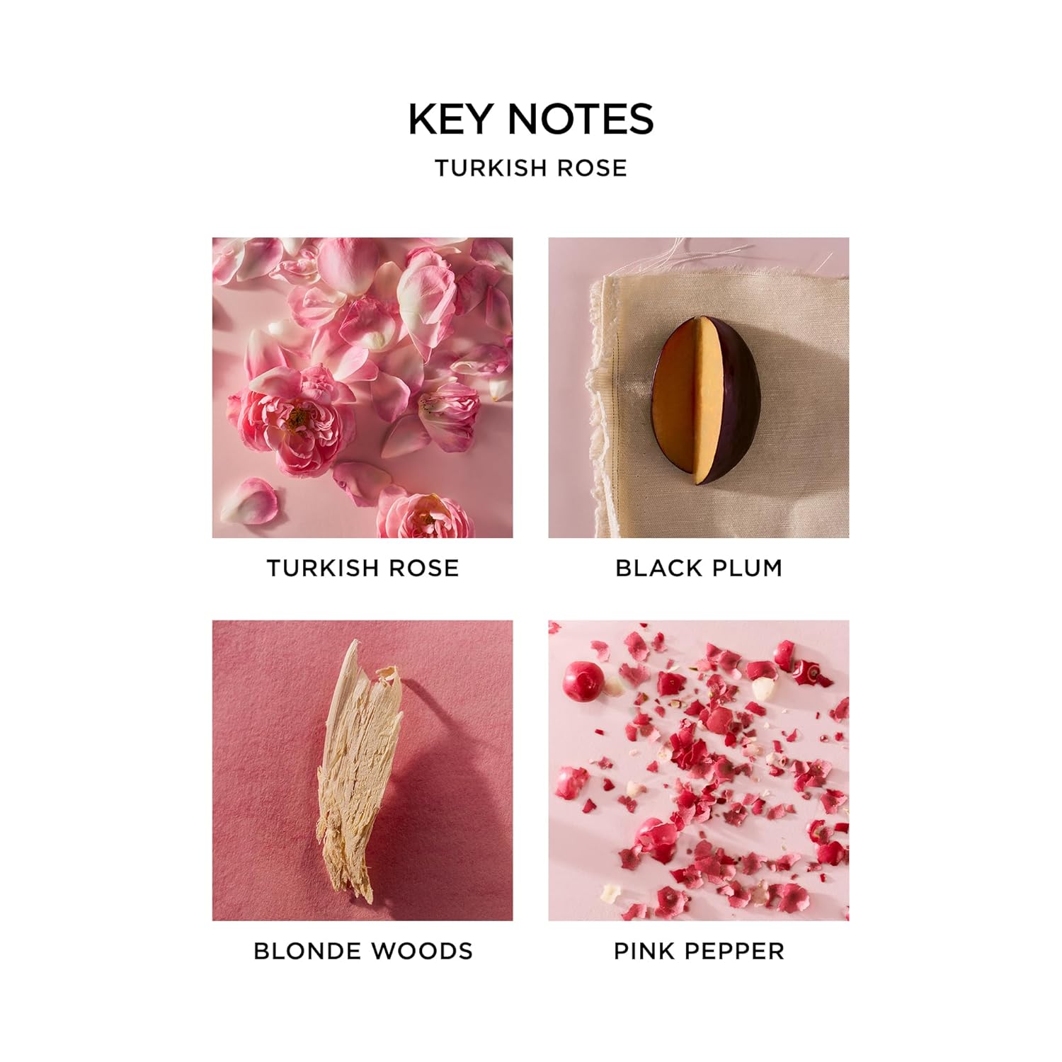 Nest New York Perfume Oil Discovery Set - Includes Balinese Coconut, Turkish Rose, Seville Orange, Indian Jasmine & Madagascar Vanilla - Vegan & Cruelty Free : Beauty & Personal Care