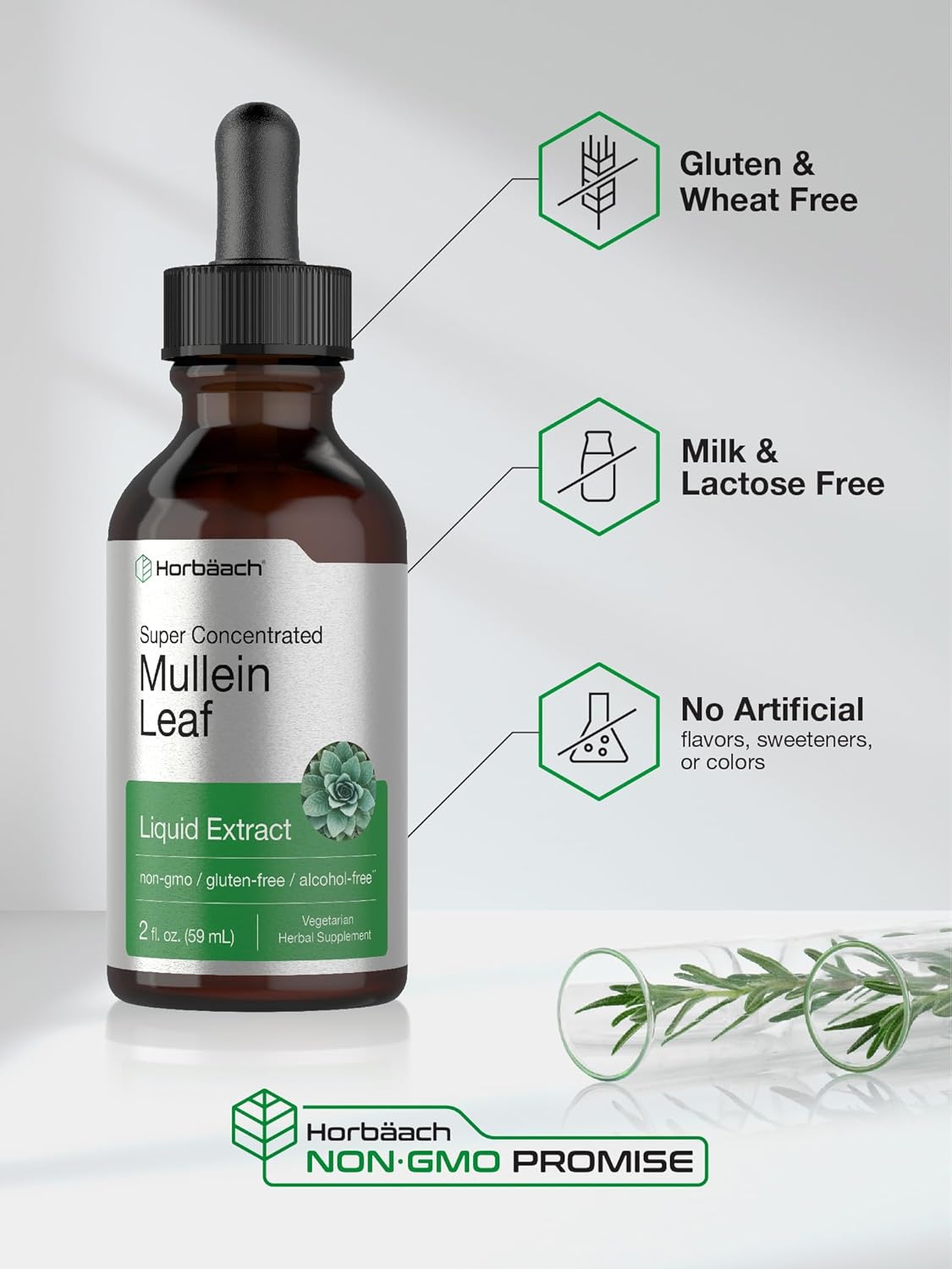 Horbäach Mullein Leaf Tincture Drops | 2 fl oz | Alcohol Free Liquid Extract | Vegetarian, Non-GMO & Gluten Free Herbal Supplement : Health & Household