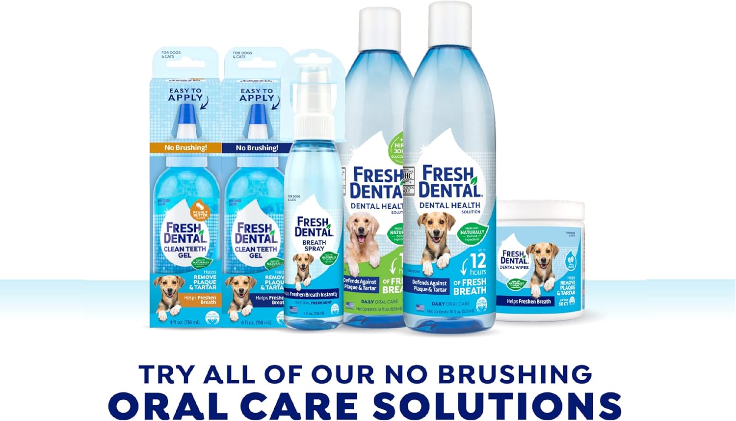 Naturel Promise Fresh Dental Clean Teeth Gel, 4 Fl Oz - Easy to Use Pet Dental Gel That Helps Remove Plaque, Tartar, and Freshen Breath-No Brushing Pet Oral Care for Dog Dental Care, Cat Dental Care : Pet Dental Care Supplies : Pet Supplies