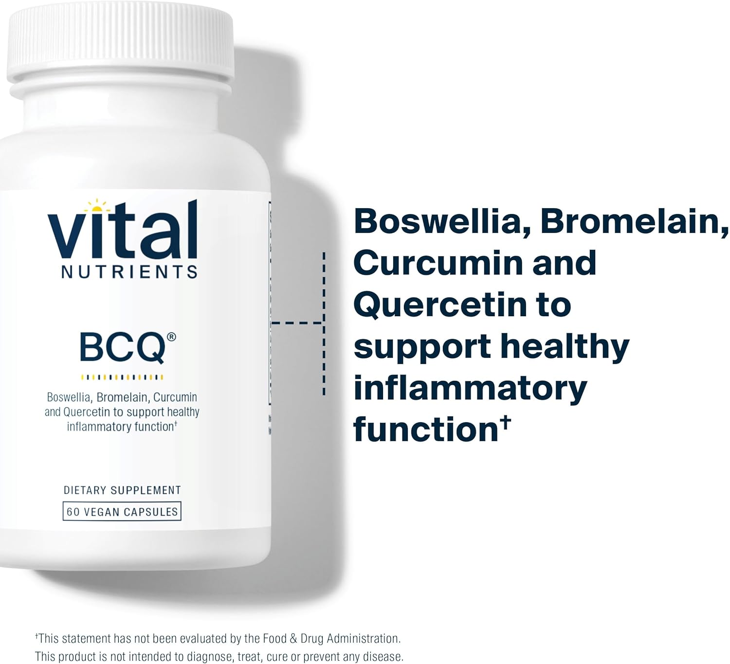 Vital Nutrients BCQ | Vegan Boswellia, Bromelain, Curcumin & Quercetin Supplement | Joint Support Supplement | Supports Sinus & Digestive Health | Gluten, Dairy, Soy Free | 60 Capsules : Health & Household