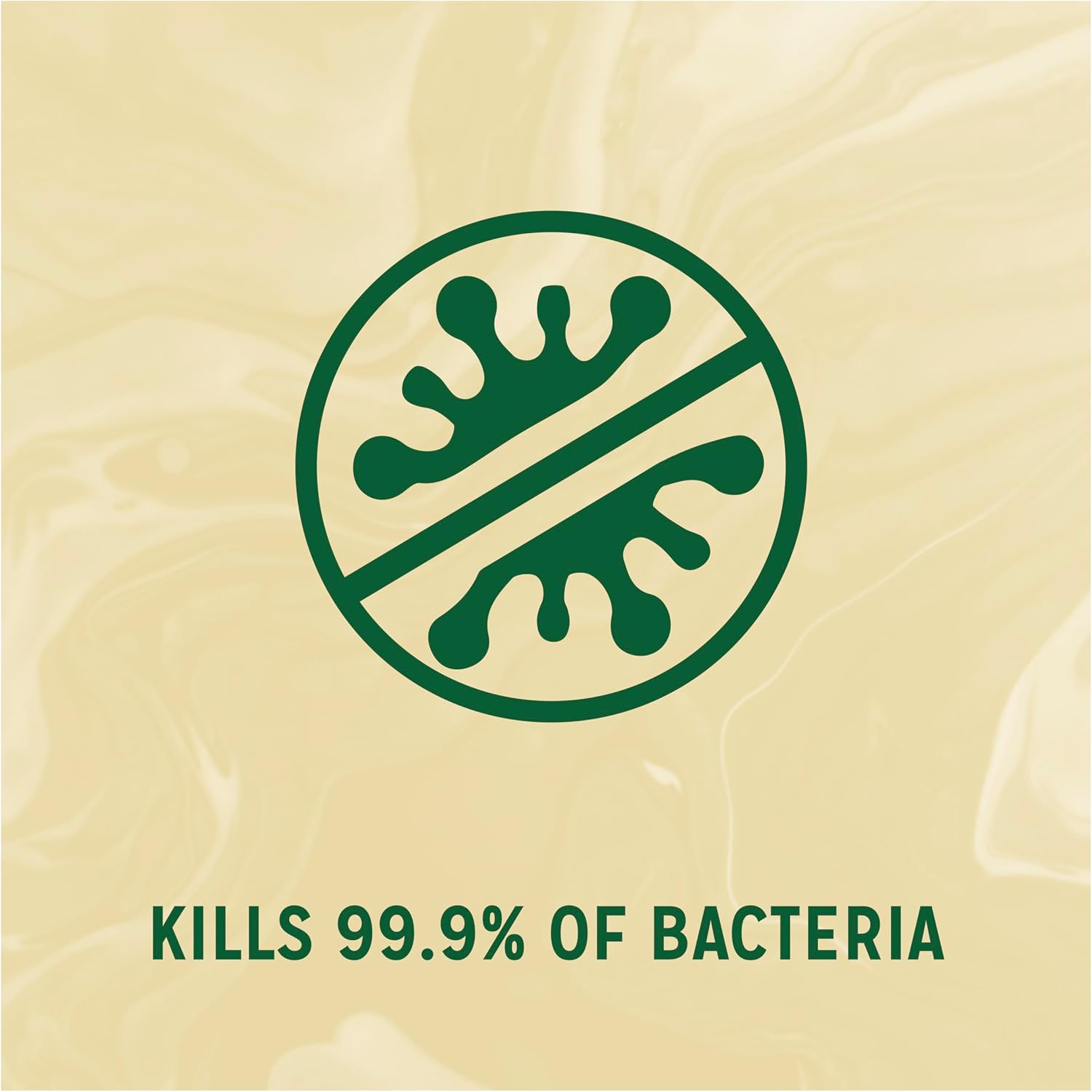 Radox Mineral Therapy Care & Nourish Antibacterial Handwash Liquid Soap that kills 99.9% of bacteria for cleansed & nourished hands 250 ml : Amazon.co.uk: Beauty