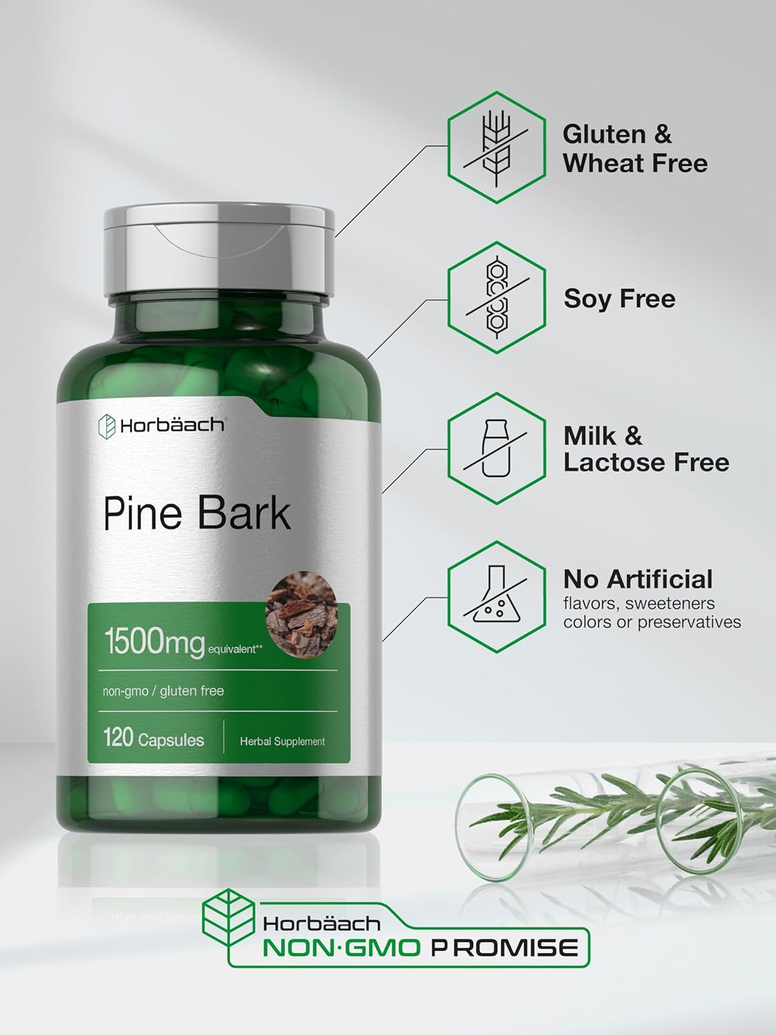 Horbäach Pine Bark Extract Capsules | 1500mg | 120 count | Non-GMO and Gluten Free : Health & Household