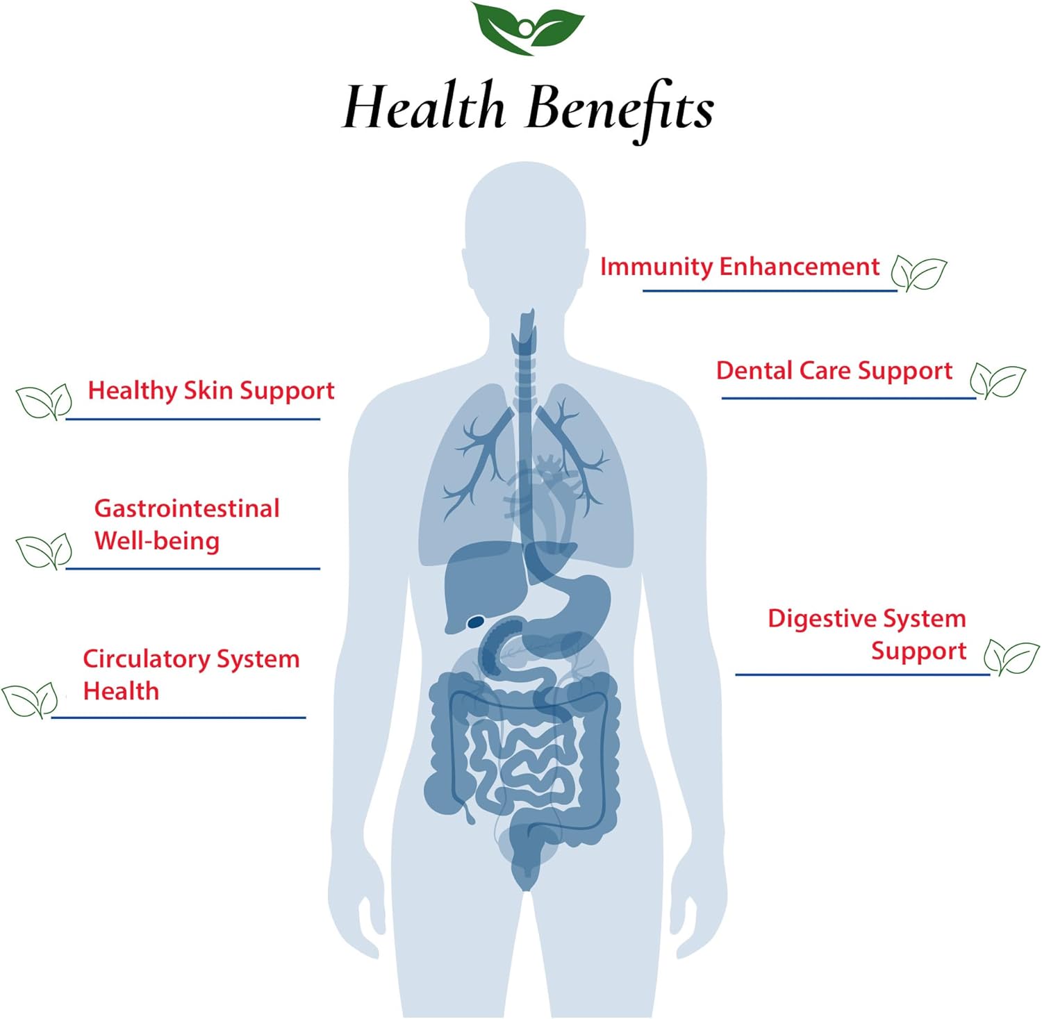 Lactobacillus Reuteri 75 Billion Cfu'S + 4 Strain Probiotic Capsules 60 Billion Cfu'S | Bundle & Save | L. Reuteri Powder No Additives | Digestive & Immune Support | Made In Usa | High Potency : Health & Household
