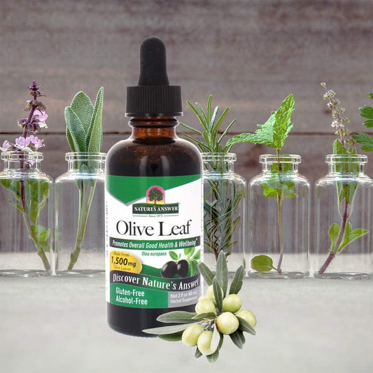 Nature's Answer Alcohol Free Olive Leaf Extract 2  | Supports Overall Wellness | Vegan | Non-GMO | Gluten Free | Made in The USA | Single Count