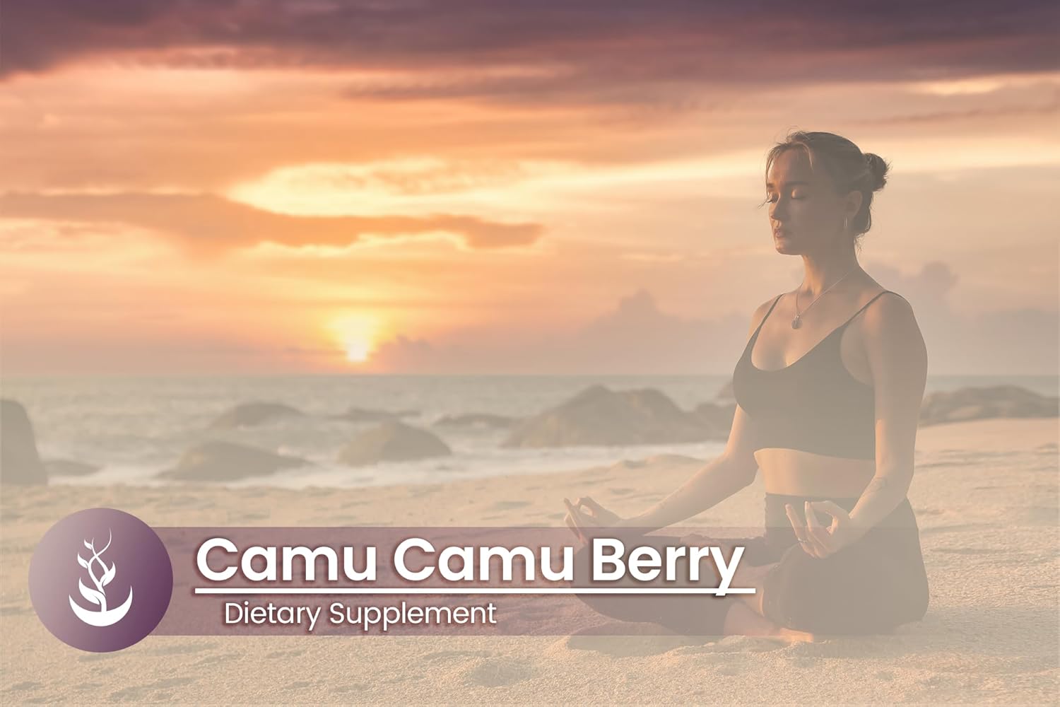 Pure Original Ingredients Camu Camu Berry, (100 Capsules) Always Pure, No Additives Or Fillers, Lab Verified : Health & Household