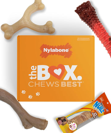 Nylabone Dog Toy Gift Box, Includes 3 Strong Chew Toys And 1 Dog Treat, Chew Toys For Large Dogs, Large/Giant (4 Count)