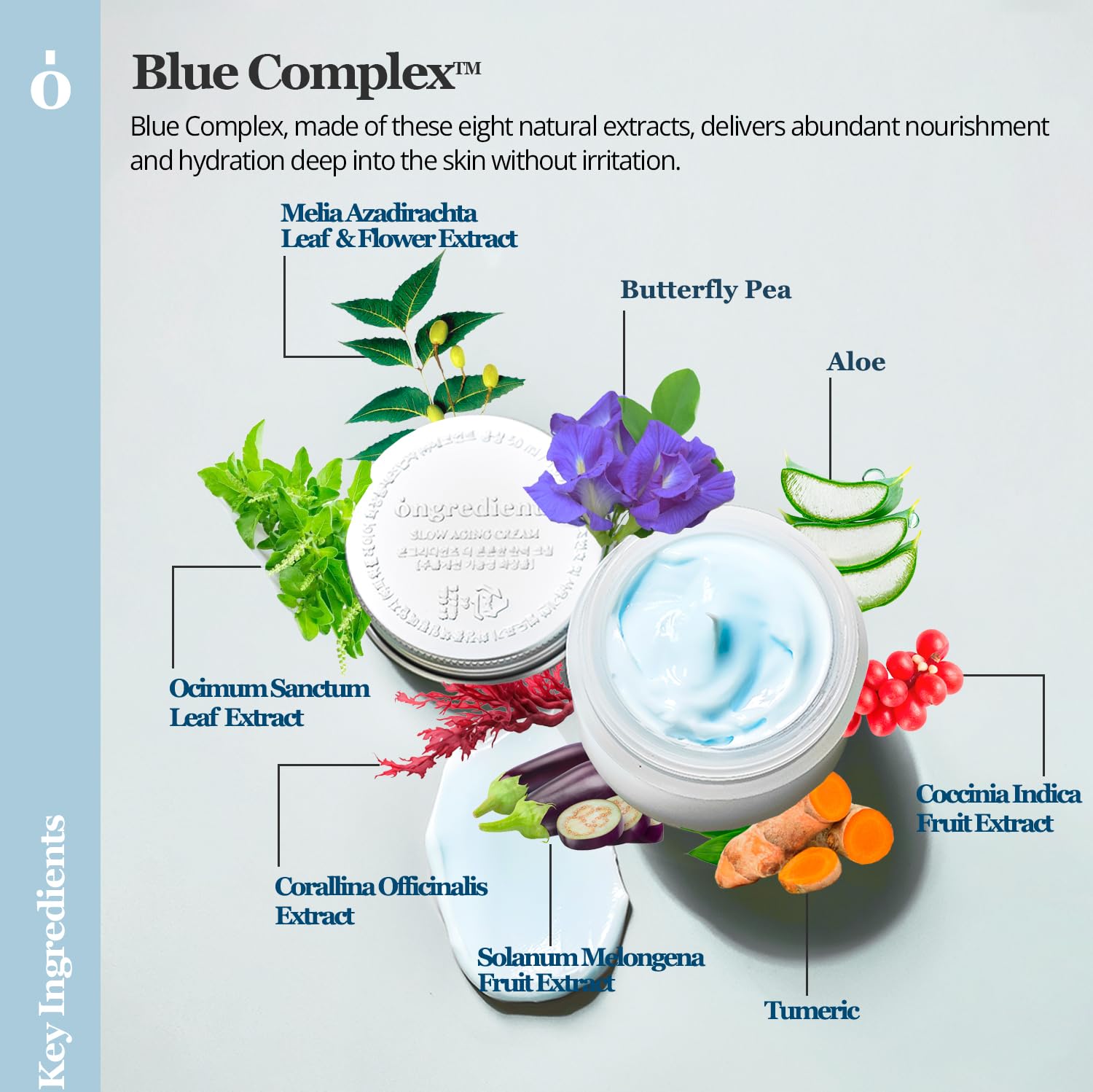 Ongredients Slow Aging Cream | Hydrating Face Moisturizer For Dull, Uneven Skin Tone | Squalane, Hyaluronic Acid, Glucose, Firming, Nourishing Cream | Vegan, Korean Skin Care 50Ml / 1.69 Fl Oz : Beauty & Personal Care