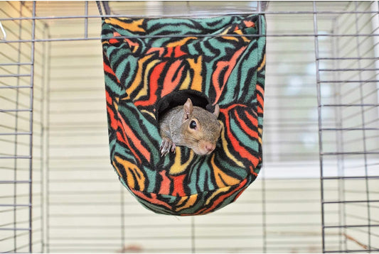 Exotic Nutrition Cozy Cube (Rainbow) - Hammock For Sugar Gliders, Hedgehogs, Chinchillas, Rats, Ferrets, Guinea Pigs, Rabbits, Hamsters, Squirrels, Parrots, Birds