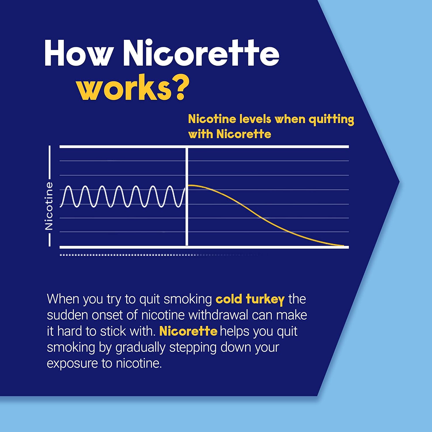 Nicorette 4 Mg Nicotine Gum to Help Quit Smoking with Behavioral Support Program - White Ice Mint Flavored Stop Smoking Aid, 160 Count : Health & Household